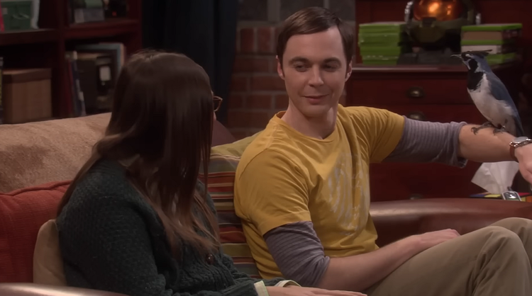 Jim Parsons als Sheldon Cooper