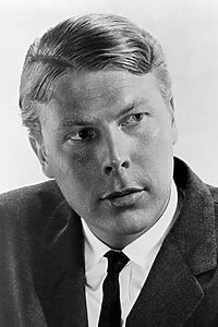 Porträt von Albert Salmi