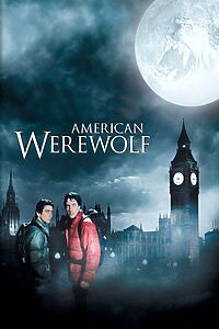 Filmplakat zu American Werewolf