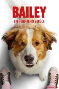 Filmplakat zu Bailey - Ein Hund kehrt zurück