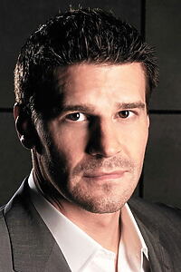 Porträt von David Boreanaz