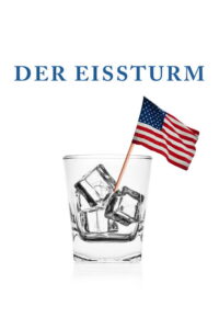Filmplakat zu Der Eissturm