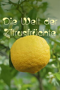 Serienplakat zu Die Welt der Zitrusfrüchte