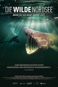 Filmplakat zu Die Wilde Nordsee - Natur, die sich nicht zähmen lässt