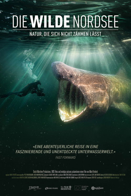 Die Wilde Nordsee – Natur, die sich nicht zähmen lässt