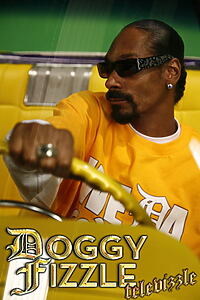 Serienplakat zu Doggy Fizzle Televizzle