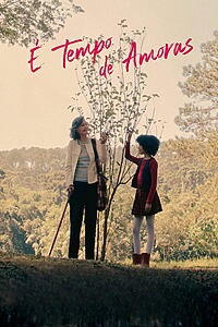 Filmplakat zu É Tempo de Amoras