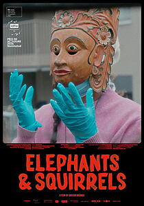 Filmplakat zu Elephants & Squirrels