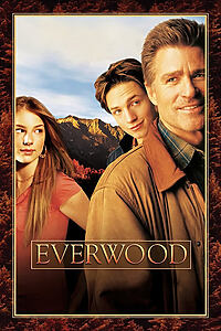 Serienplakat zu Everwood