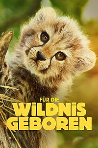 Serienplakat zu Für die Wildnis geboren