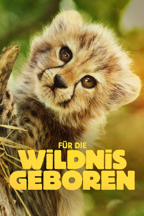 Serienplakat zu Für die Wildnis geboren