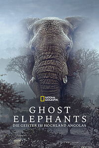 Filmplakat zu Ghost Elephants - Die Geister im Hochland Angolas
