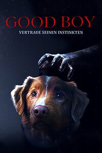 Filmplakat zu Good Boy - Trust His Instincts