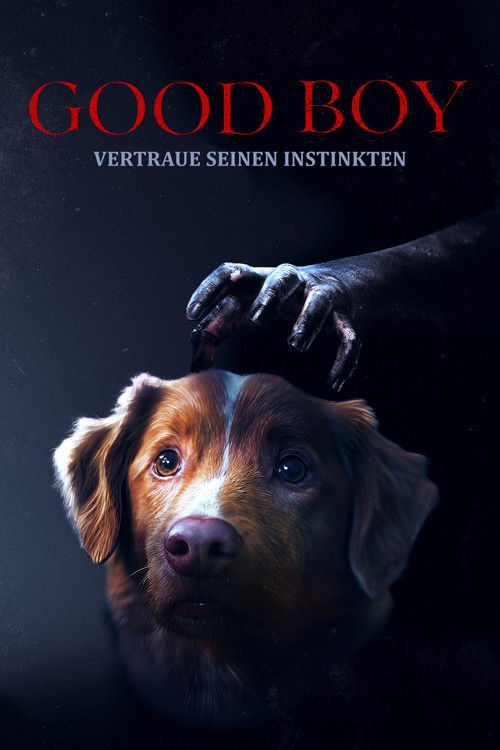 Good Boy – Trust His Instincts