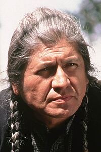 Porträt von Gordon Tootoosis