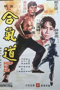 Filmplakat zu Hapkido
