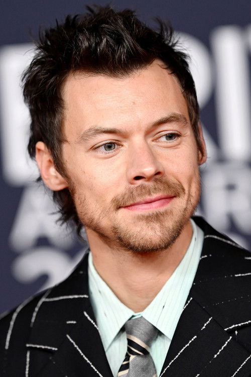 Porträt von Harry Styles