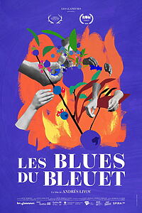 Filmplakat zu Les blues du bleuet