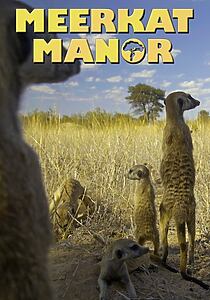 Serienplakat zu Meerkat Manor