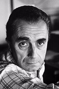 Porträt von Michelangelo Antonioni