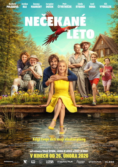 Filmplakat zu Nečekané léto