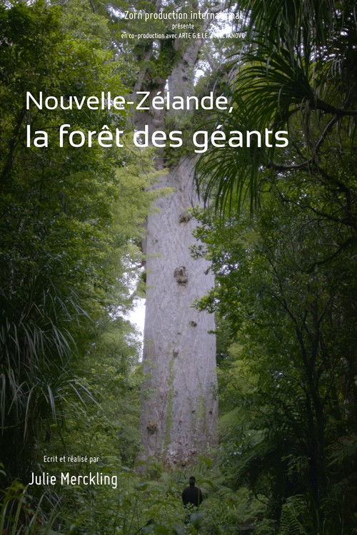 Nouvelle-Zélande, la forêt des géants