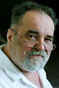 Porträt von Pauer Gyula