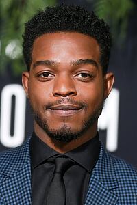 Porträt von Stephan James