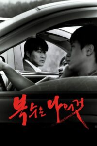Filmplakat zu Sympathy for Mr. Vengeance