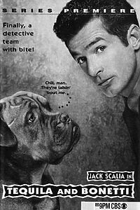 Serienplakat zu Tequila und Bonetti