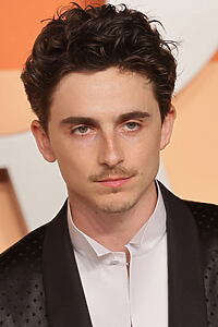 Porträt von Timothée Chalamet