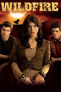 Serienplakat zu Wildfire