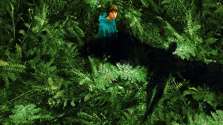 Bild aus Animalia