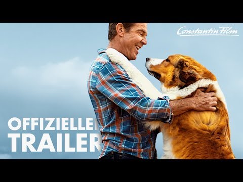Trailer-Vorschaubild zu Bailey - Ein Hund kehrt zurück