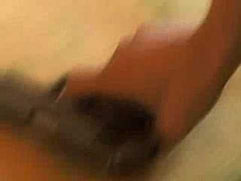 Trailer-Vorschaubild zu Baise-moi (Fick mich!)