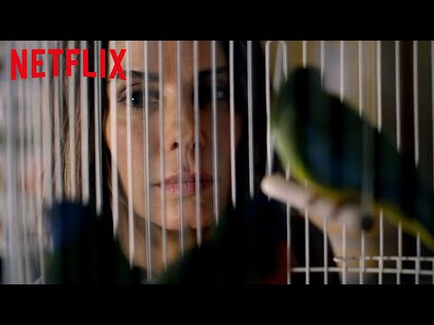 Trailer-Vorschaubild zu Bird Box - Schließe deine Augen