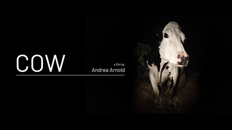 Bild aus Cow