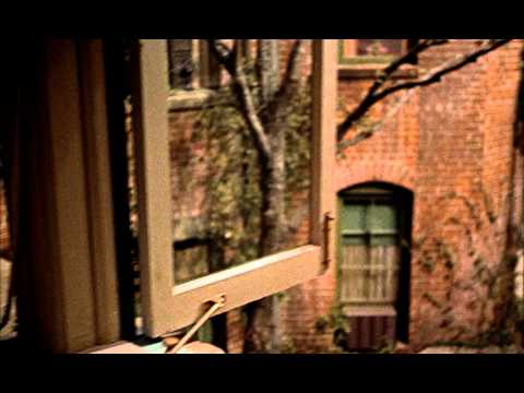 Trailer-Vorschaubild zu Das Fenster zum Hof