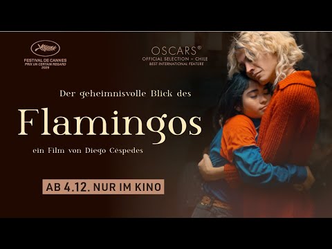 Trailer-Vorschaubild zu Der geheimnisvolle Blick des Flamingos