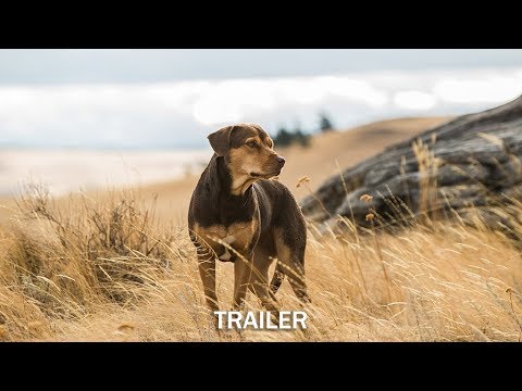 Trailer-Vorschaubild zu Die unglaublichen Abenteuer von Bella