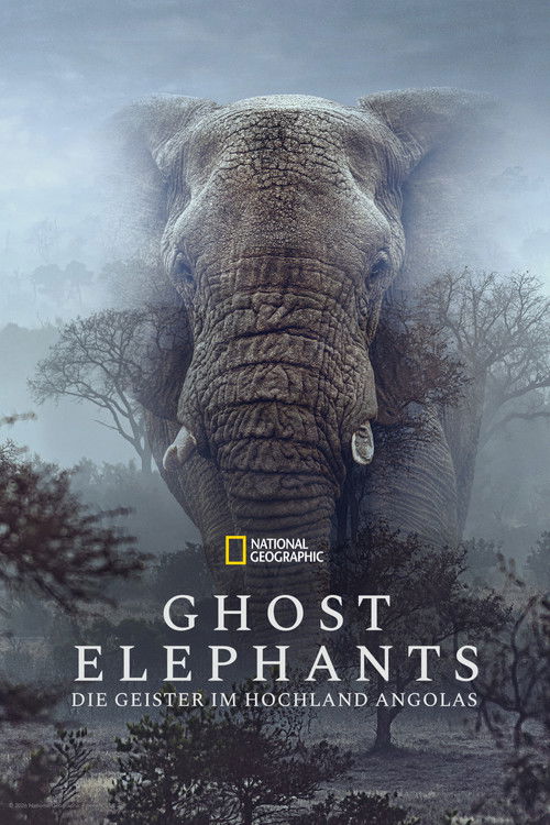 Ghost Elephants – Die Geister im Hochland Angolas