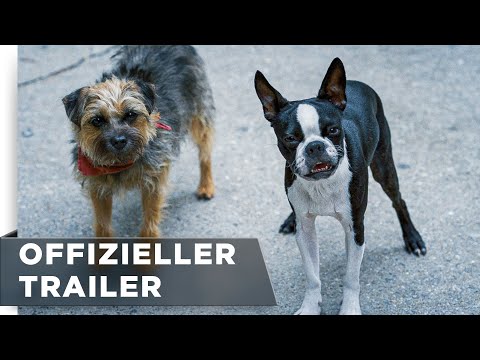 Trailer-Vorschaubild zu Doggy Style