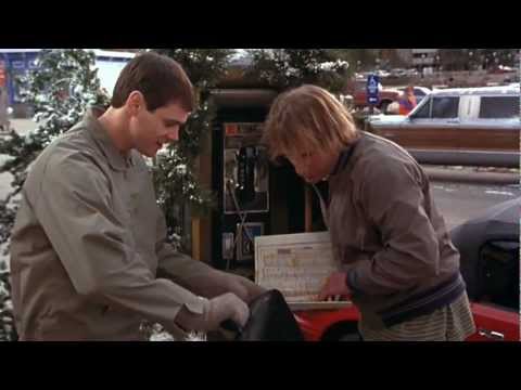 Trailer-Vorschaubild zu Dumm und Dümmer