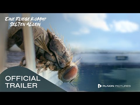 Trailer-Vorschaubild zu Eine Fliege kommt selten allein