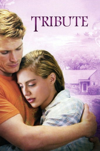 Nora Roberts - Ein Haus zum Träumen Filmplakat