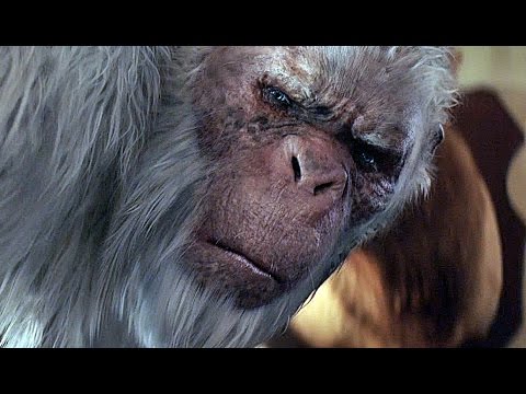 Trailer-Vorschaubild zu Gänsehaut