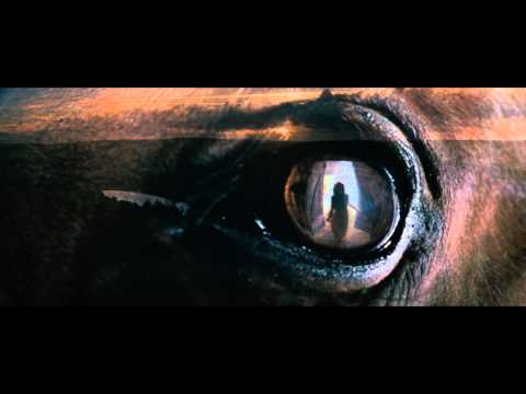 Trailer-Vorschaubild zu Gefährten