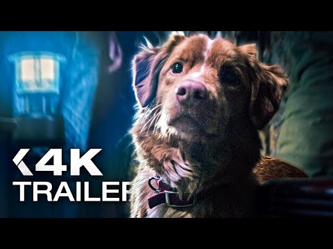 Trailer-Vorschaubild zu Good Boy - Trust His Instincts
