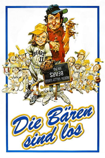 Die Bären sind los Filmplakat