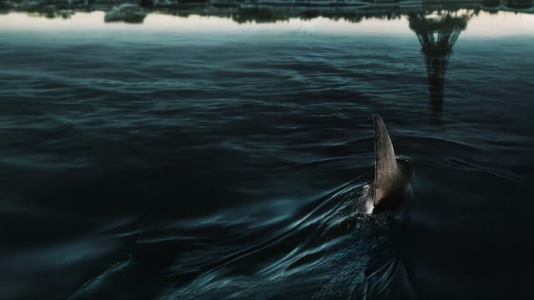 Bild aus Im Wasser der Seine
